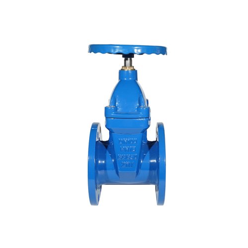 NRS Resilient Seated Gate Valve & brass gland