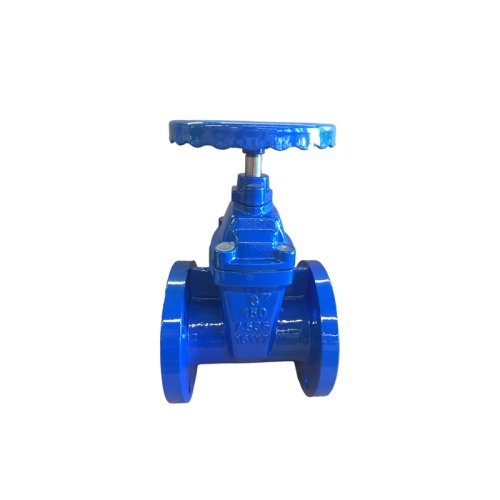 AWWA&ANSI 250PSI Non-rising Stem Resilient Seated Gate Valve