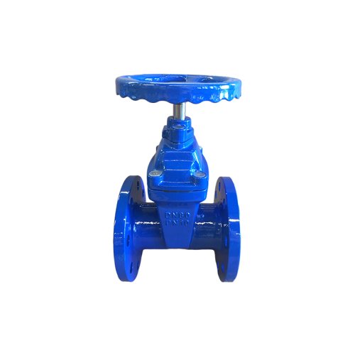 BS5163 Resilient Seated Non Rising Stem Gate Valve