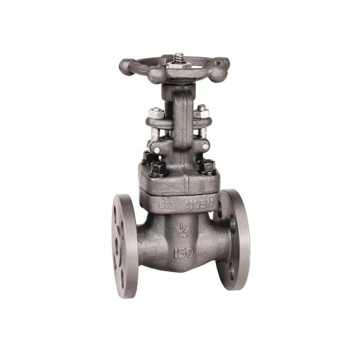 _0005_Flange End Forged Steel Gate Valve